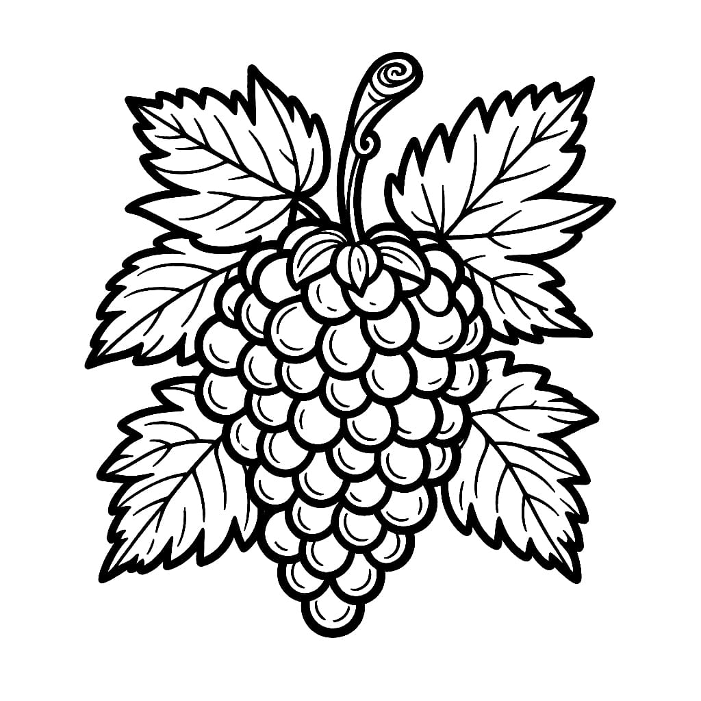 Sekumpulan anggur dan daun