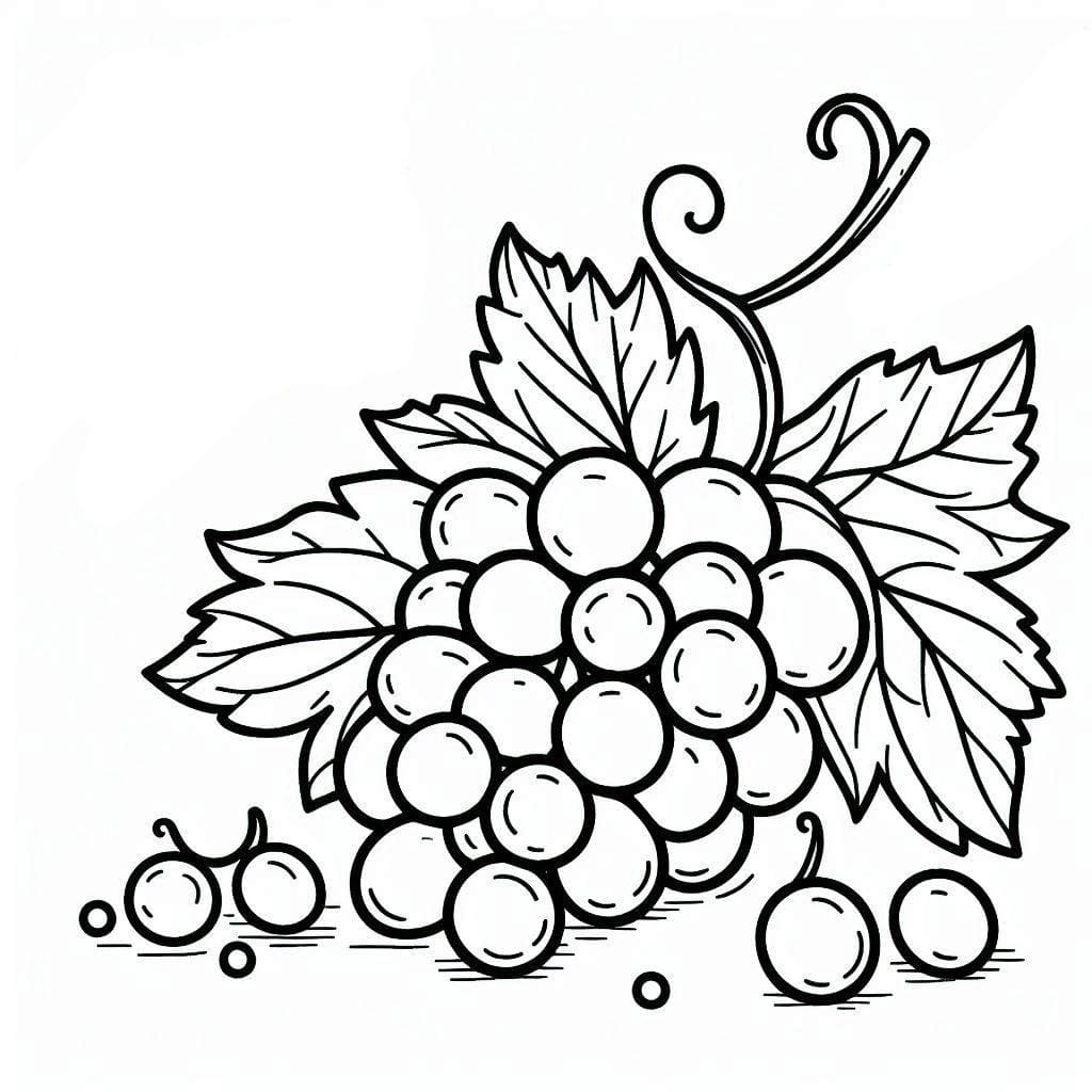 Sekumpulan anggur yang cantik