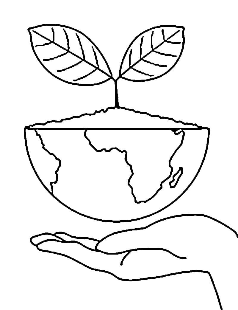 Tanam Pohon Selamatkan Bumi