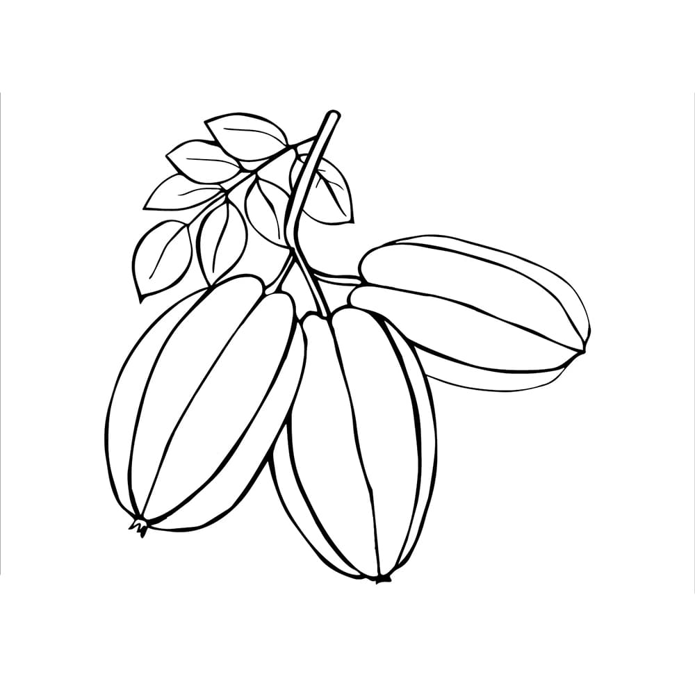 Buah Belimbing Cantik