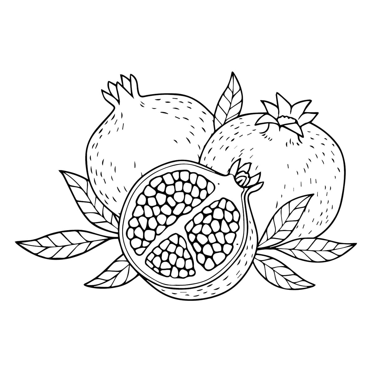 Buah delima yang sempurna