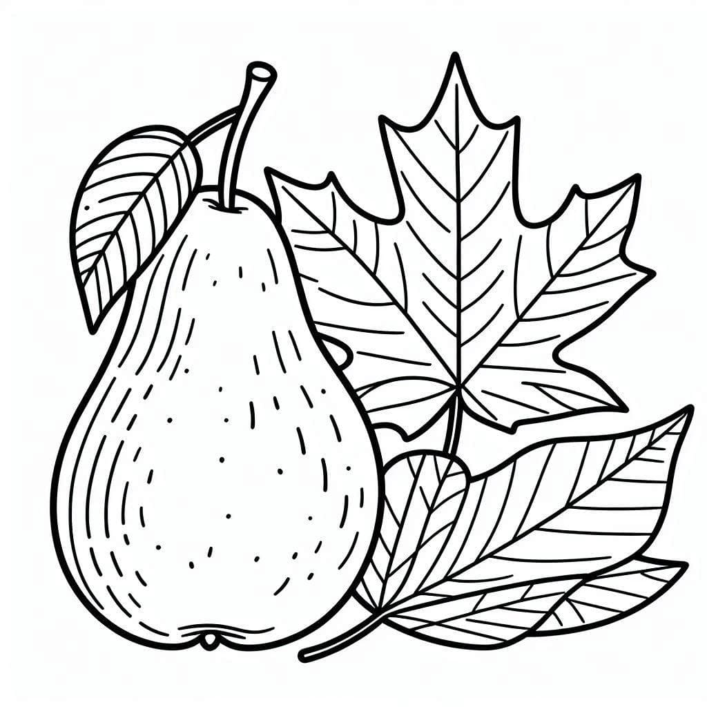 Buah Pir dan Daun Maple