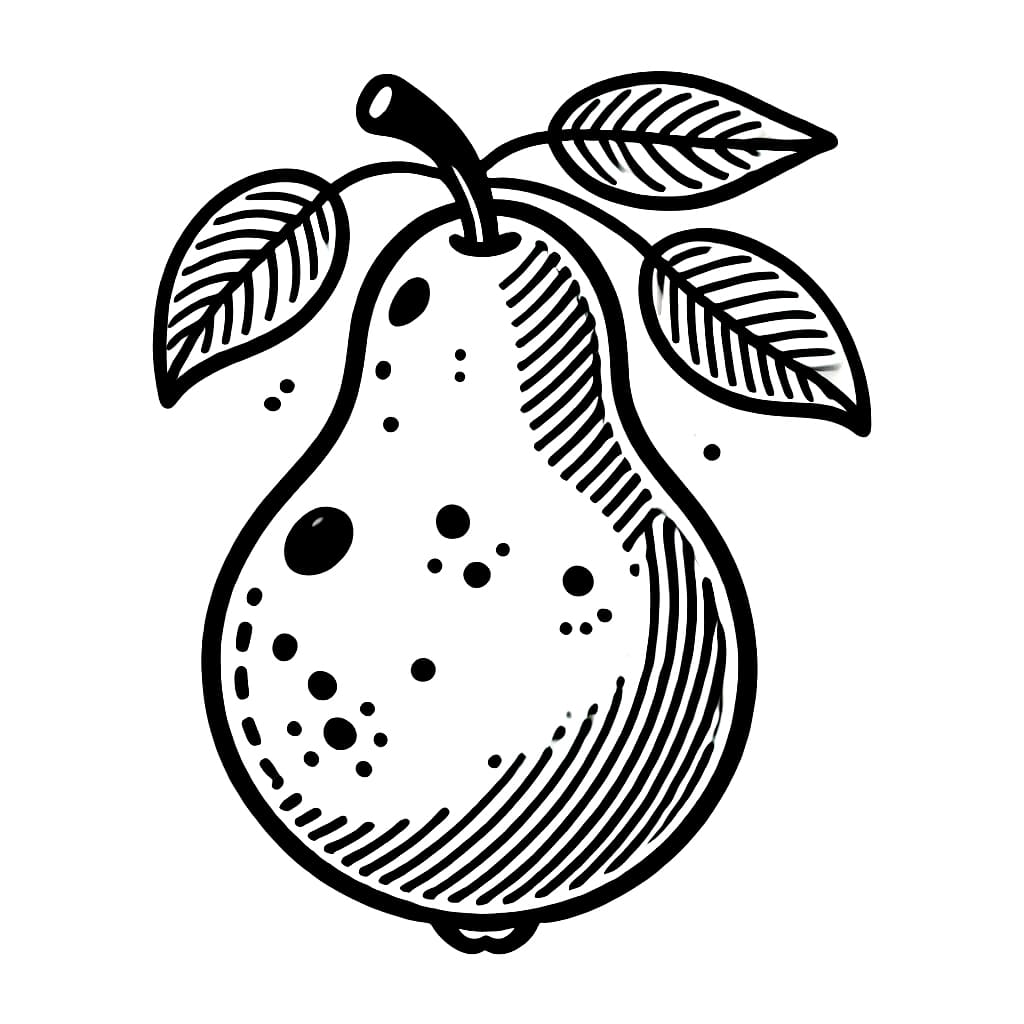 Buah pir memiliki banyak daun