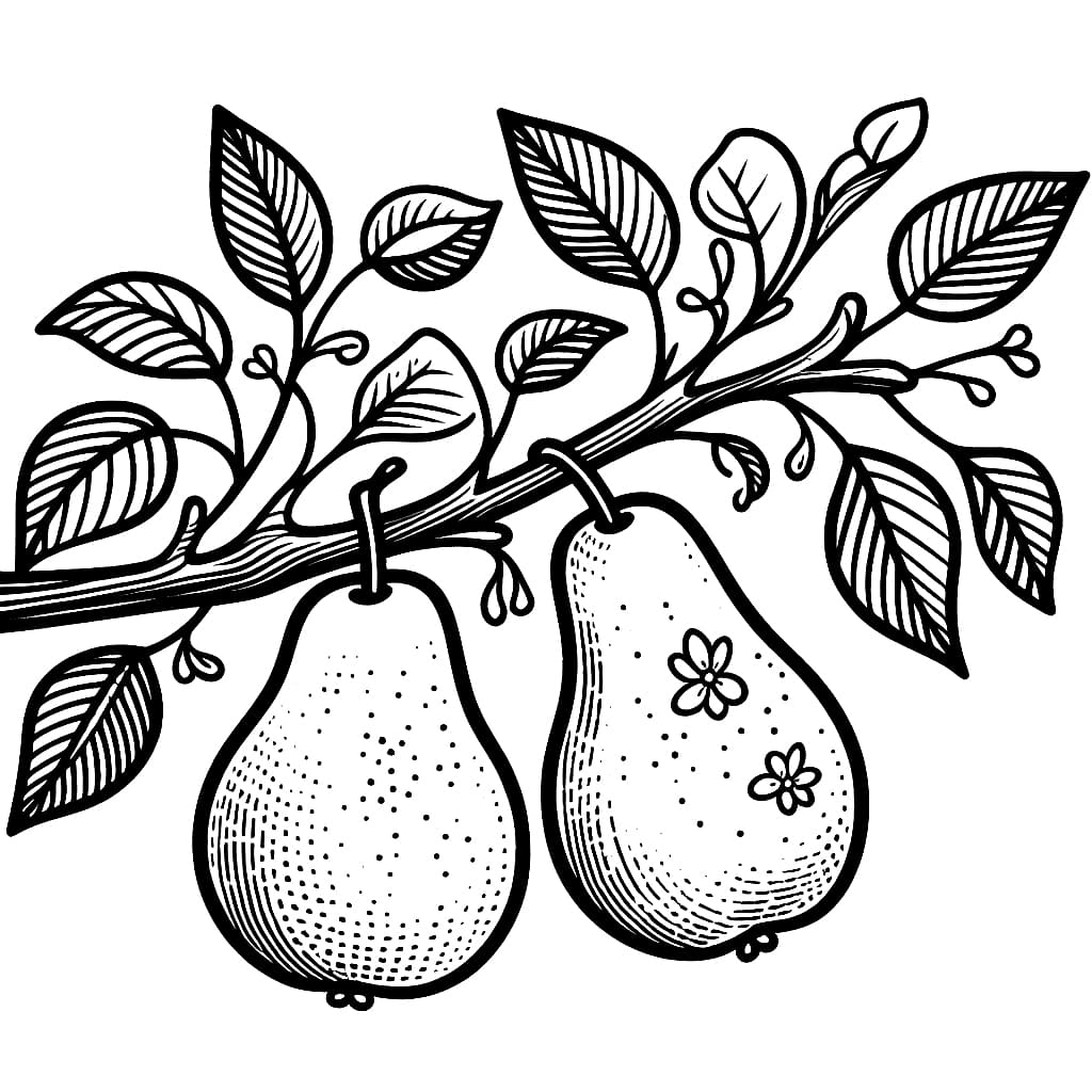 Buah pir yang cantik di cabangnya