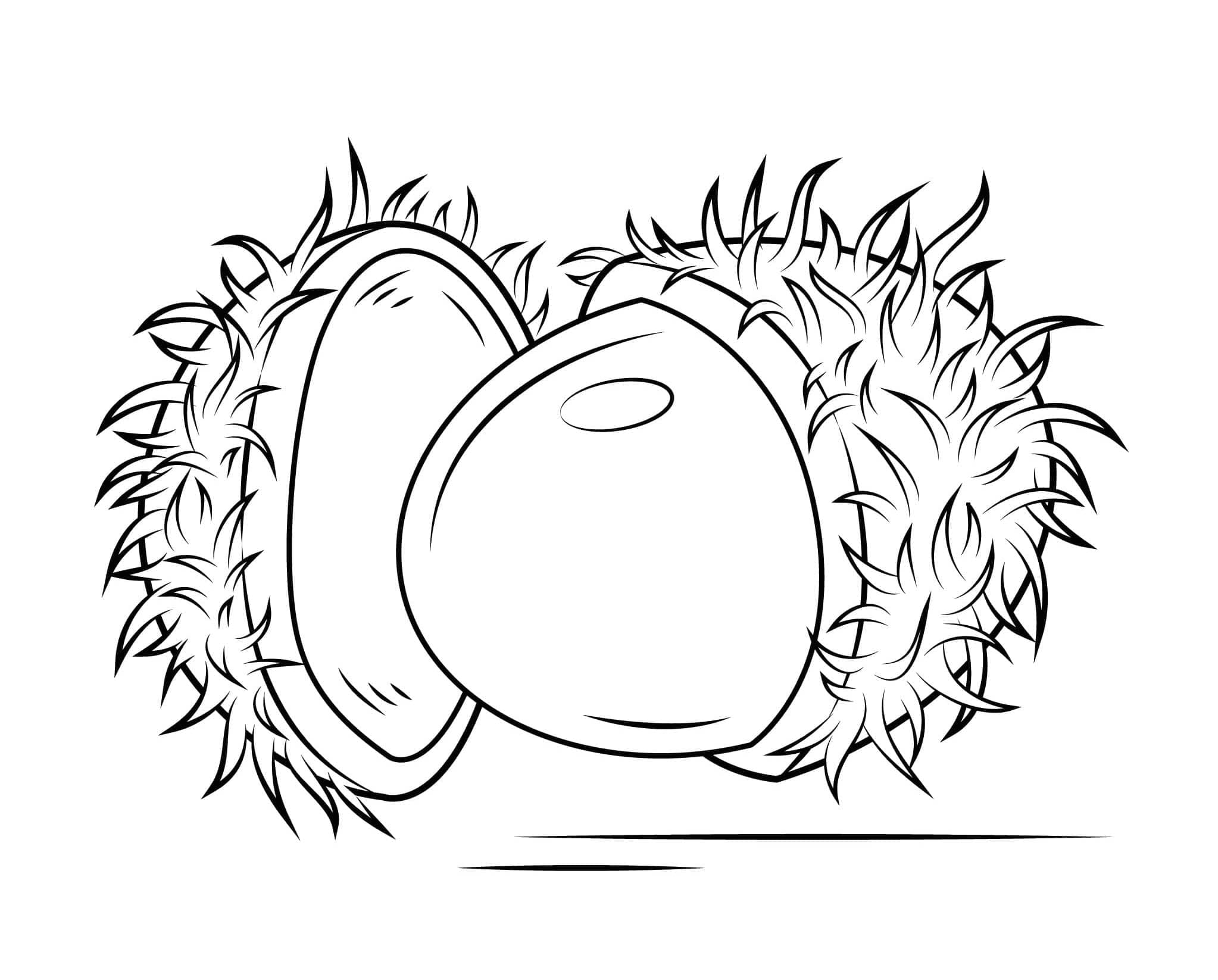 Buah Rambutan yang Halus