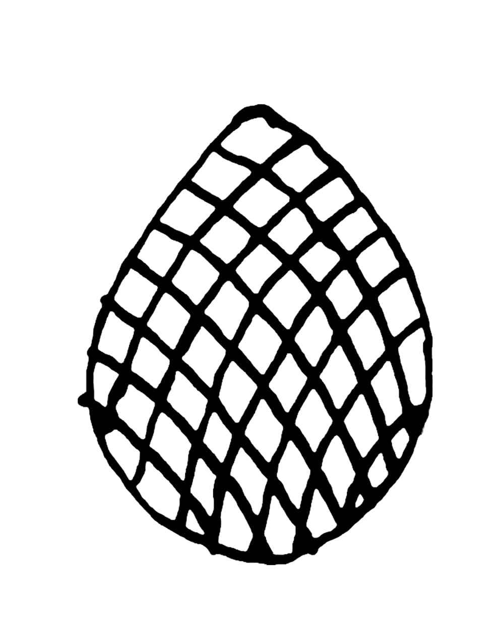 Buah Salak Sederhana