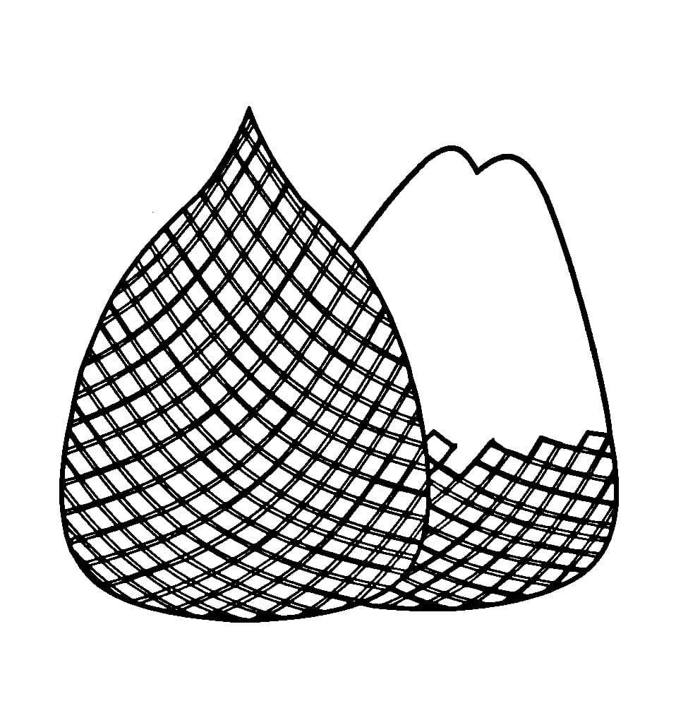 Buah Salak yang Bagus