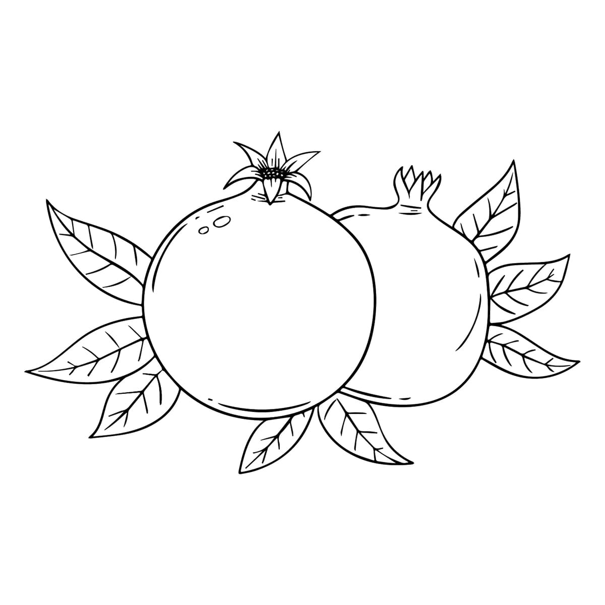 Dua buah delima dan daun