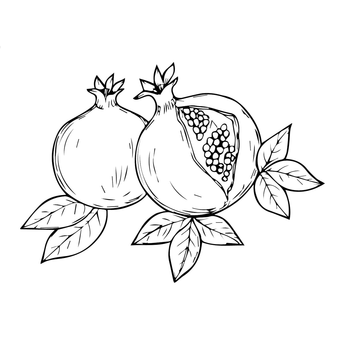 Dua buah delima normal