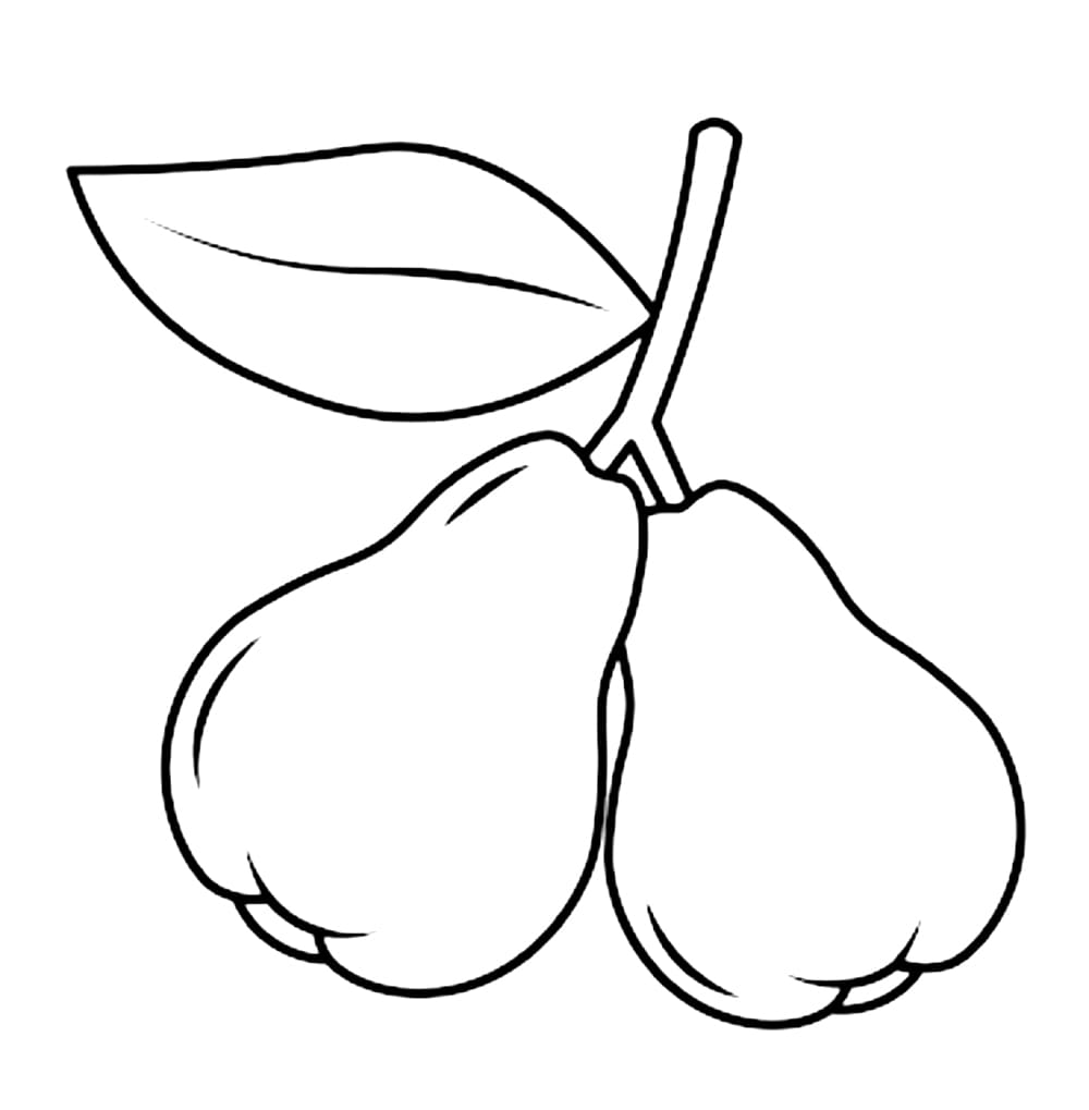 Dua Jambu Air yang Indah