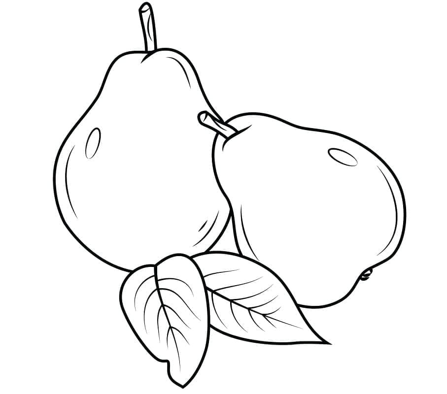 Gambar buah pir gratis