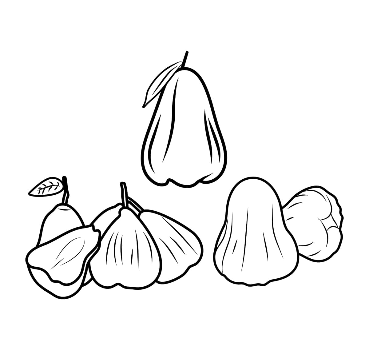 Gambarlah Jambu Air yang indah