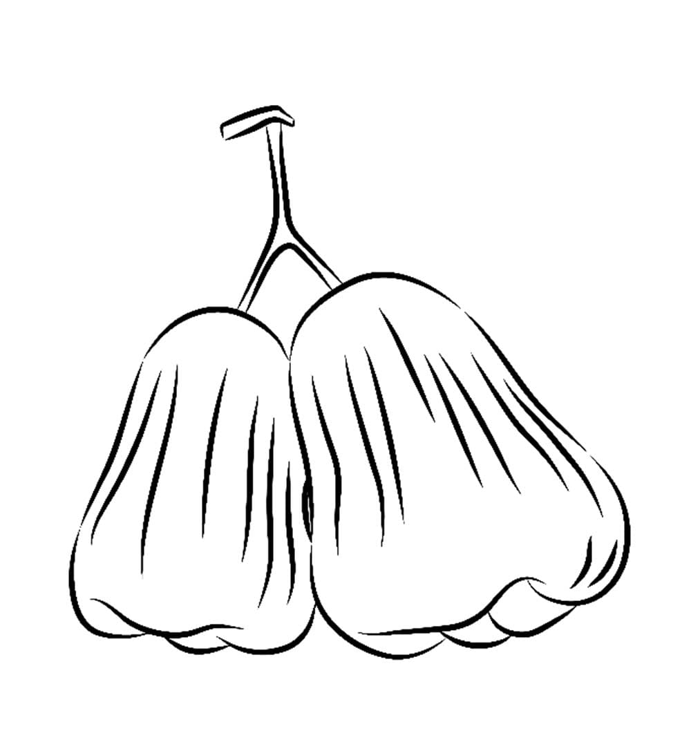 Jambu Air yang cantik