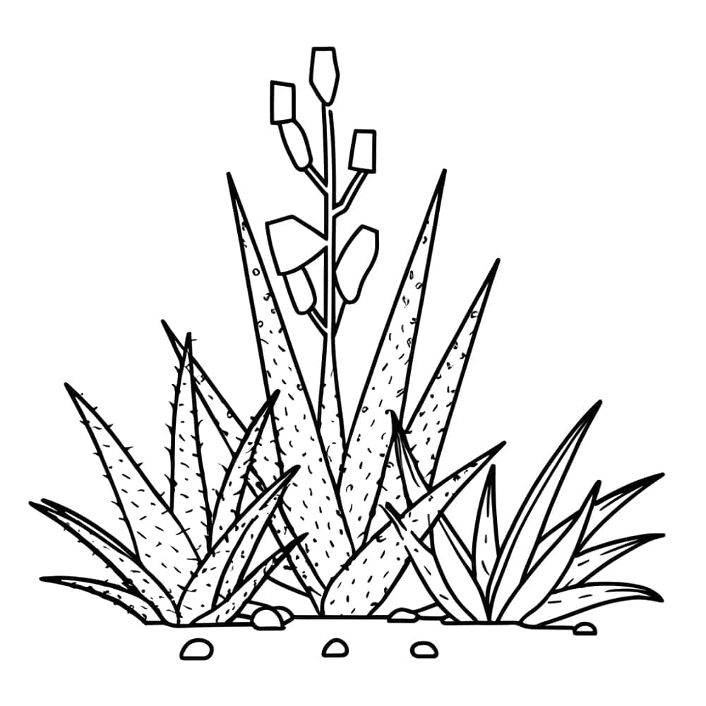 Lidah Buaya Dapat Dicetak