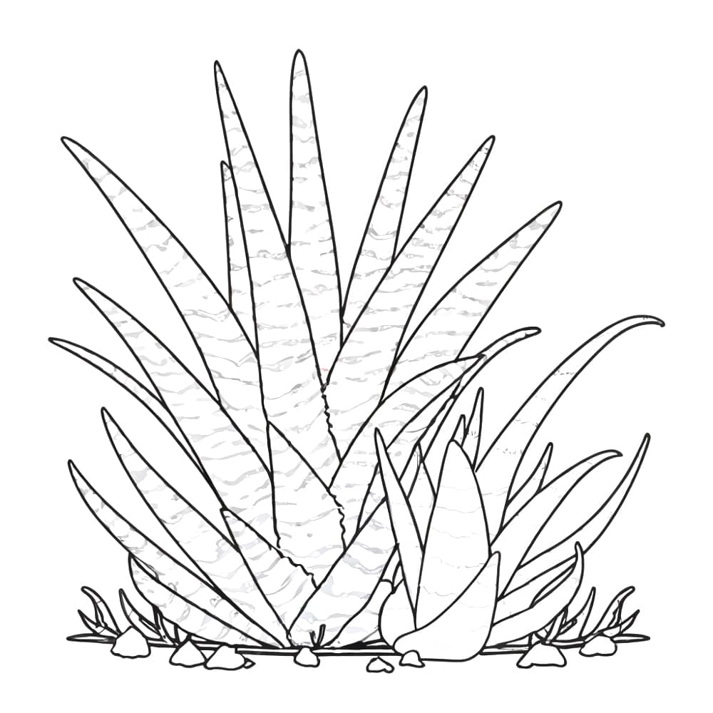 Lidah Buaya yang dapat dicetak