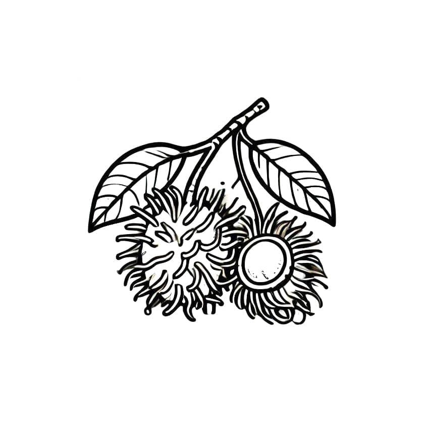 Makan Rambutan yang lezat