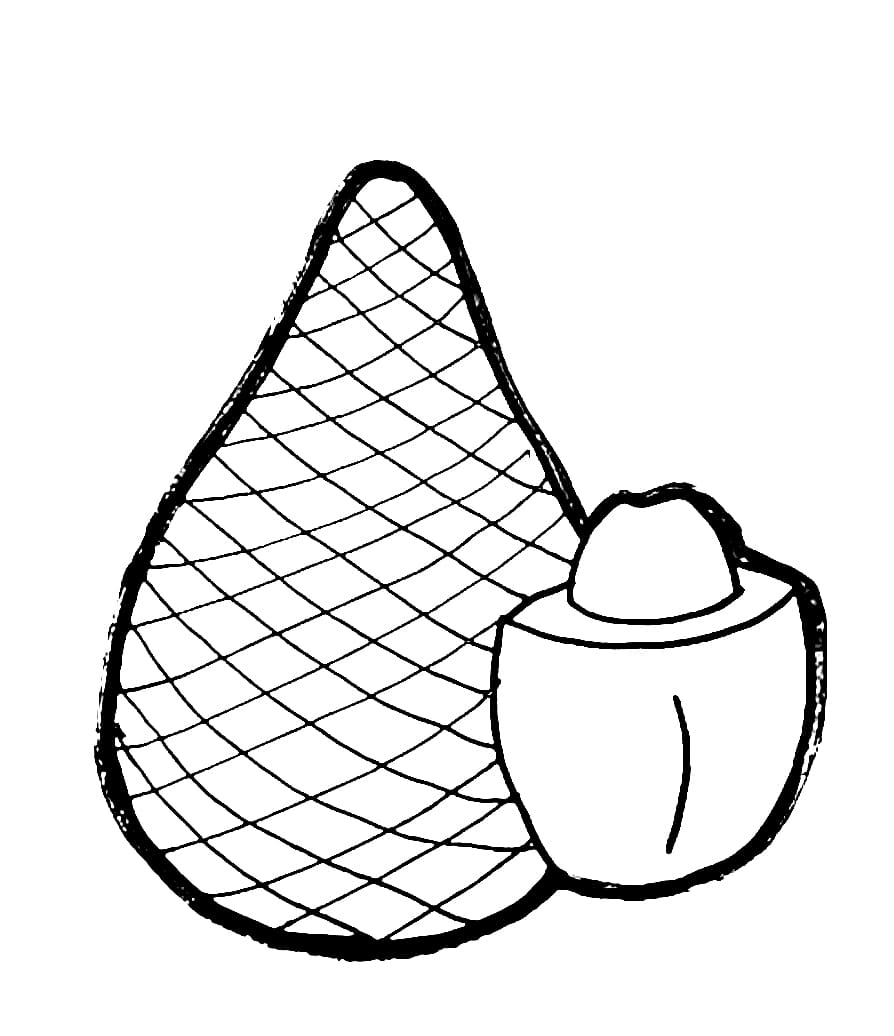 Menggambar Buah Salak