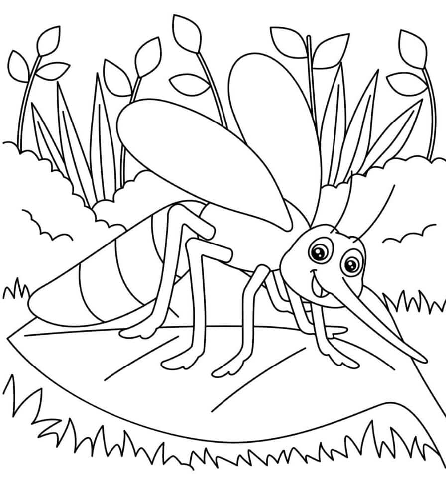 Nyamuk Lucu di Atas Daun