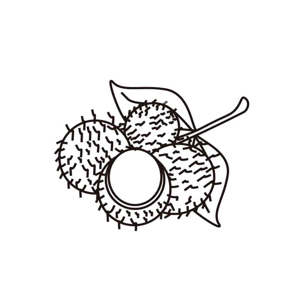 Rambutan Manis Berbulu Halus