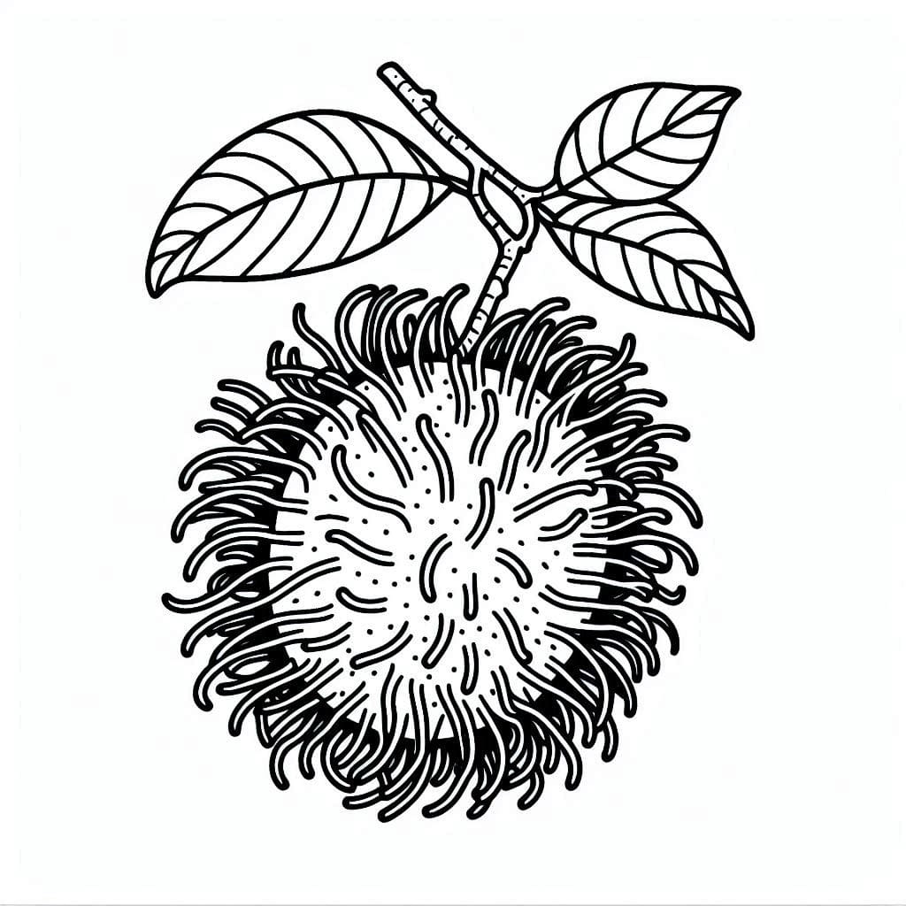 Satu Rambutan gratis