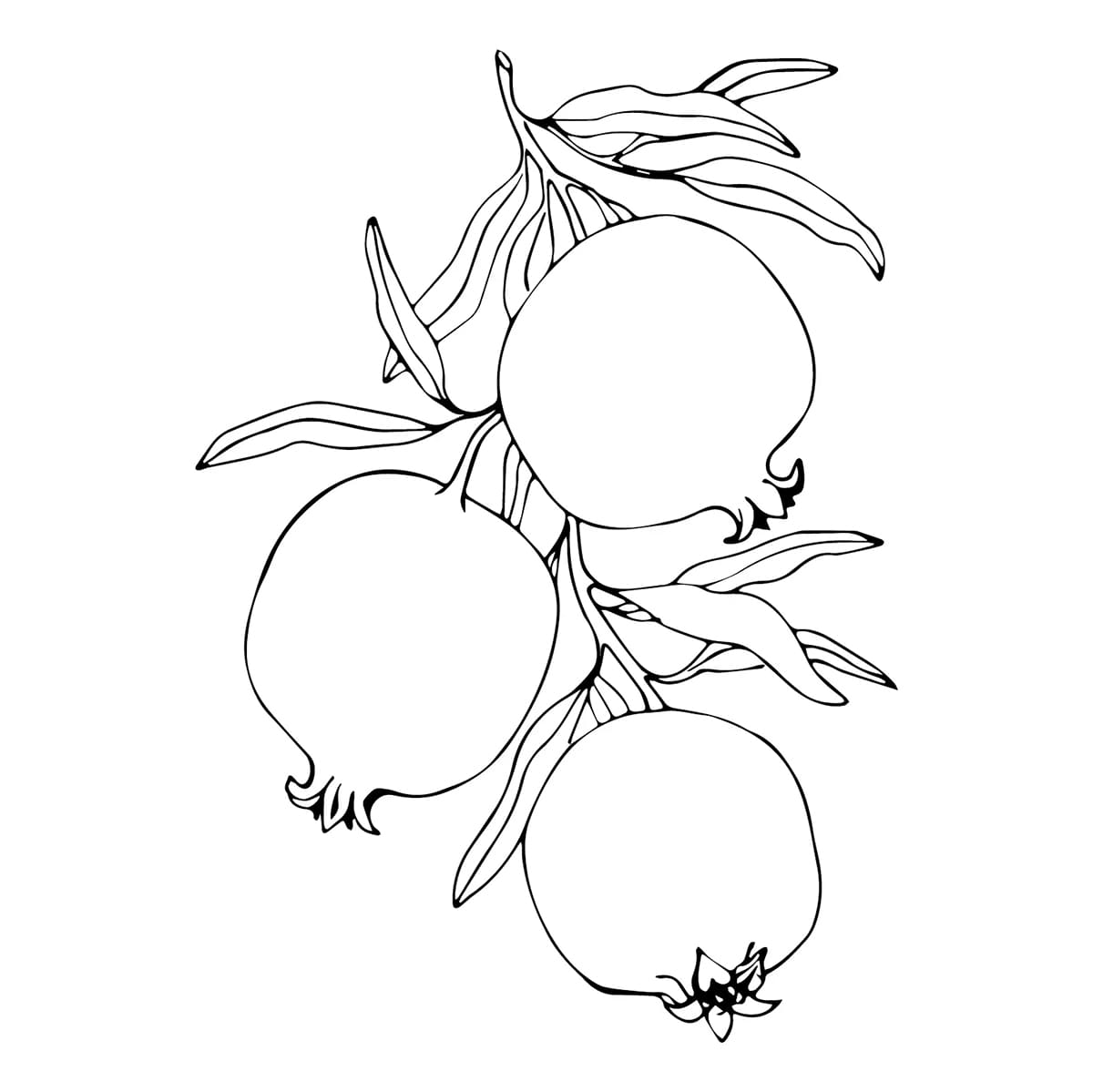 Tiga Buah Delima Sederhana