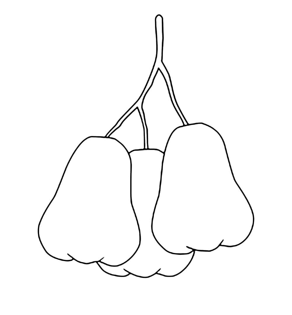 Tiga Jambu Air Sederhana