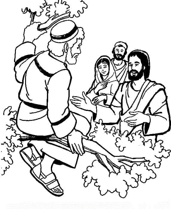 Zakheus di Atas Pohon