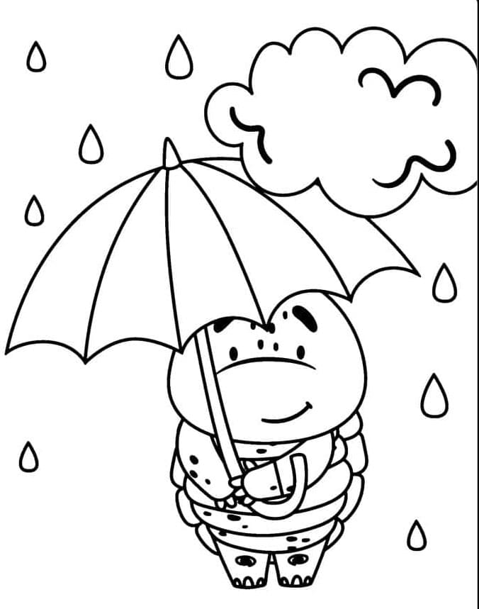 Awan hujan dan kura-kura