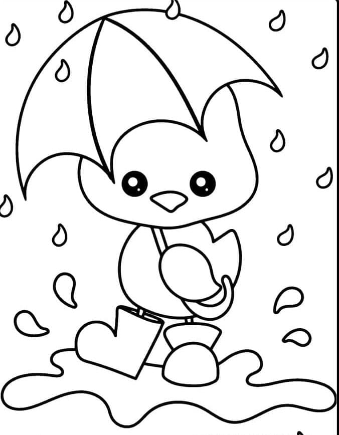 Ayam lucu berdiri di tengah hujan