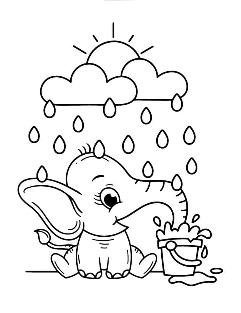 Bayi Gajah di tengah hujan