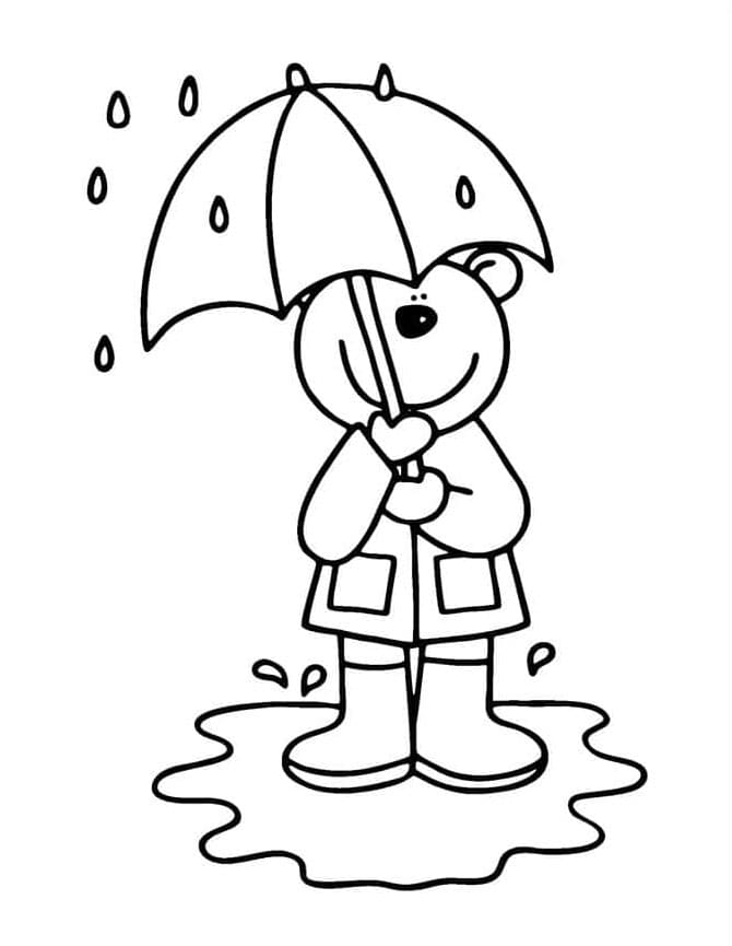 Beruang berdiri di tengah hujan