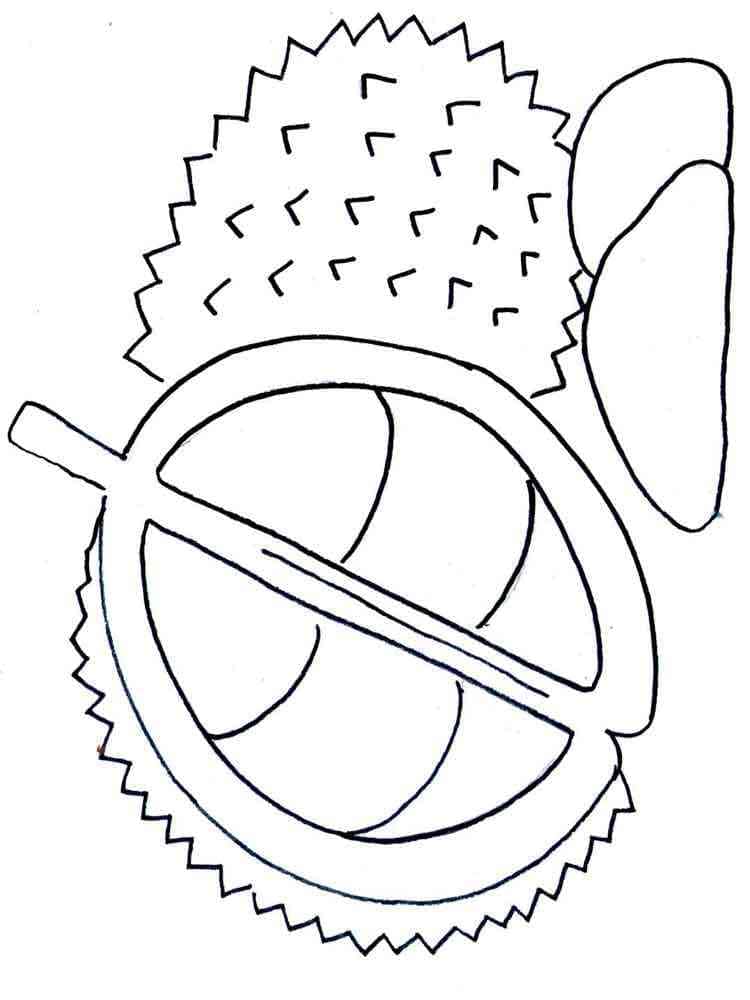 Durian menggemaskan gratis