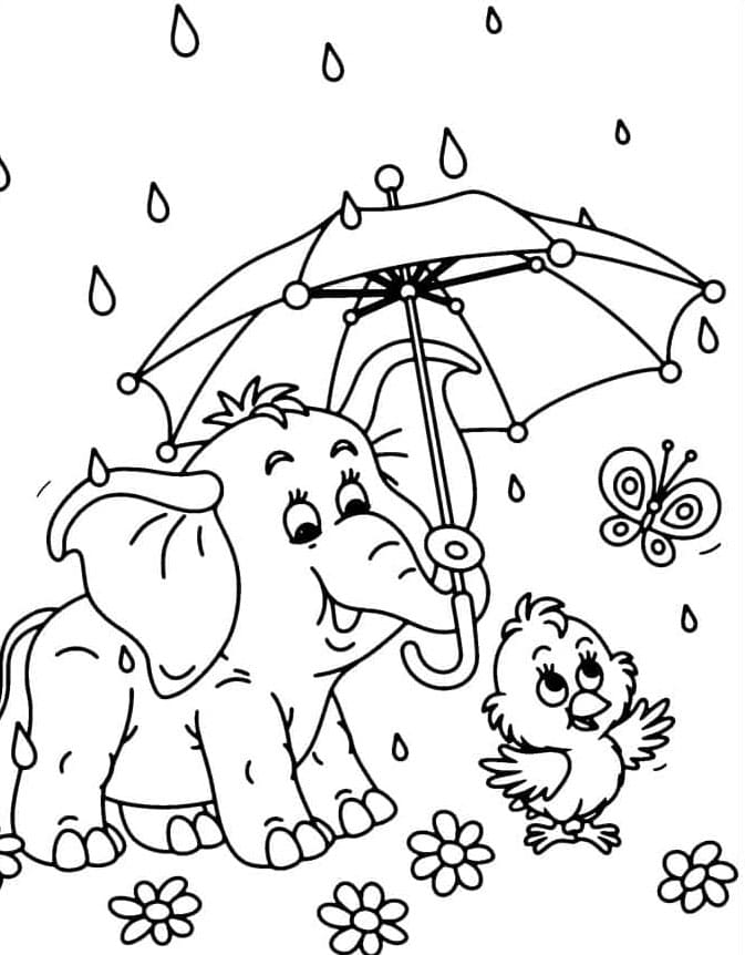 Gajah di tengah hujan