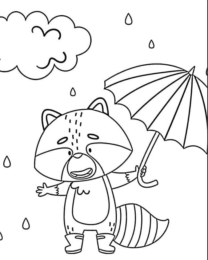 Rakun berdiri di tengah hujan