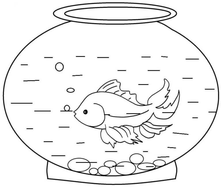 Akuarium yang mengagumkan