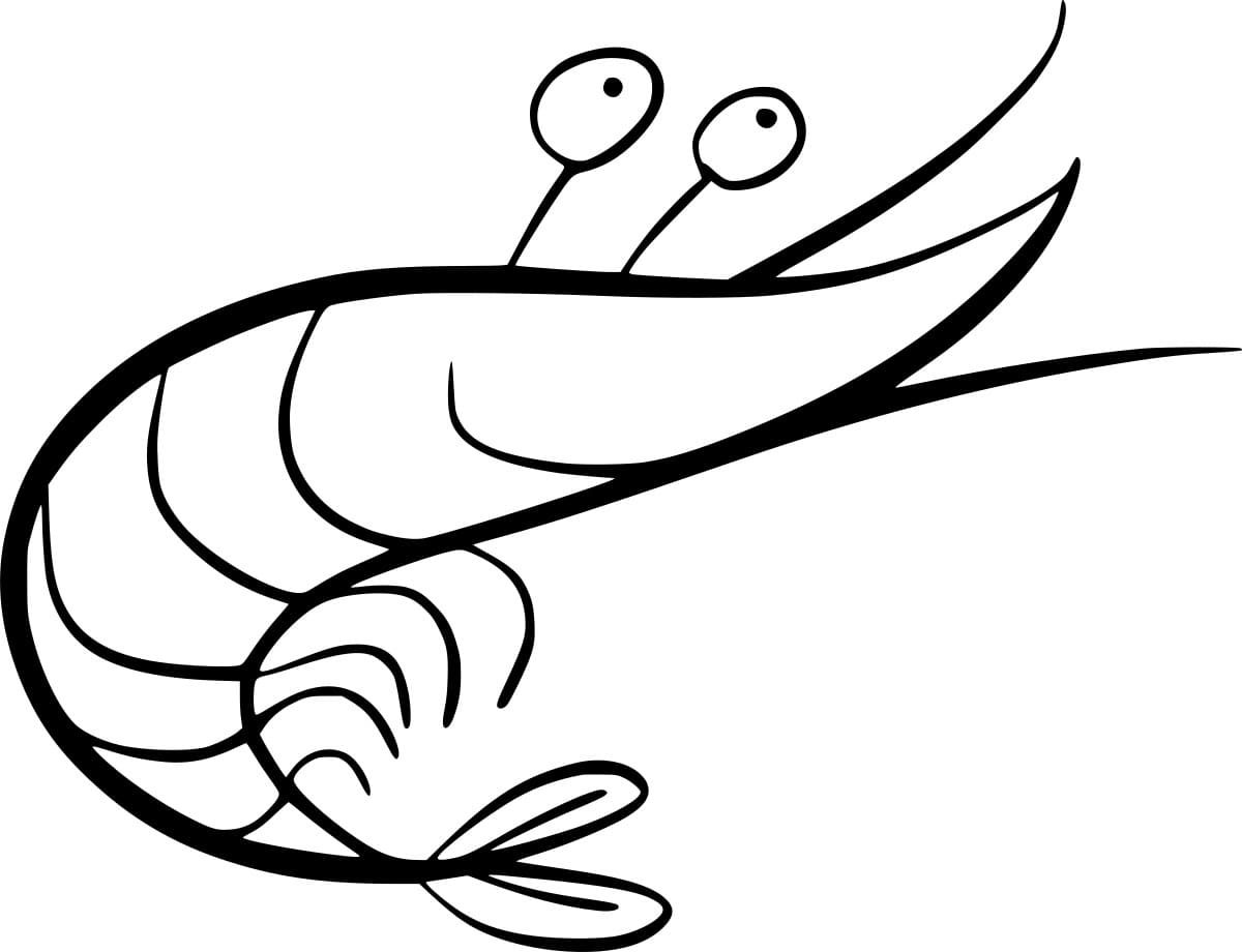 Halaman Mewarnai Udang Mudah