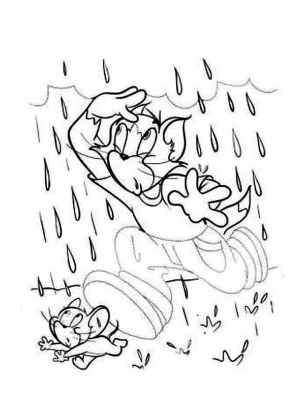 Tom dan Jerry di musim hujan