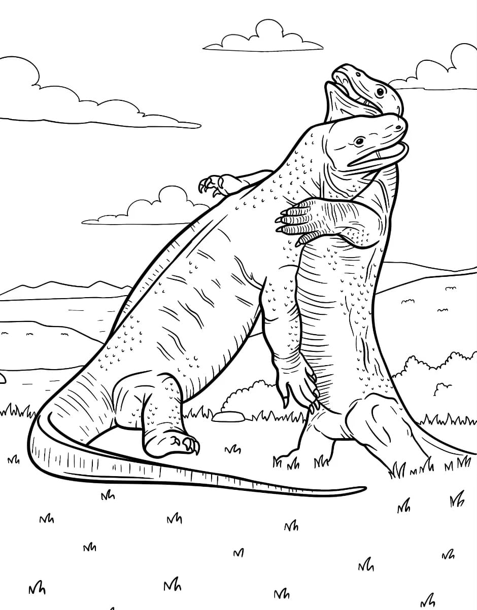 Dua Komodo Berkelahi