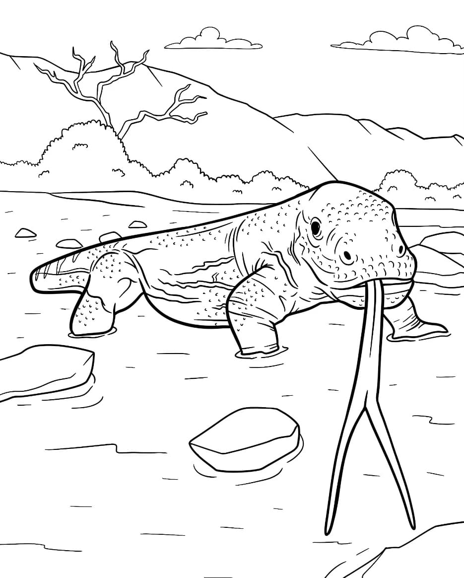 Komodo Berburu Makanan di Sungai