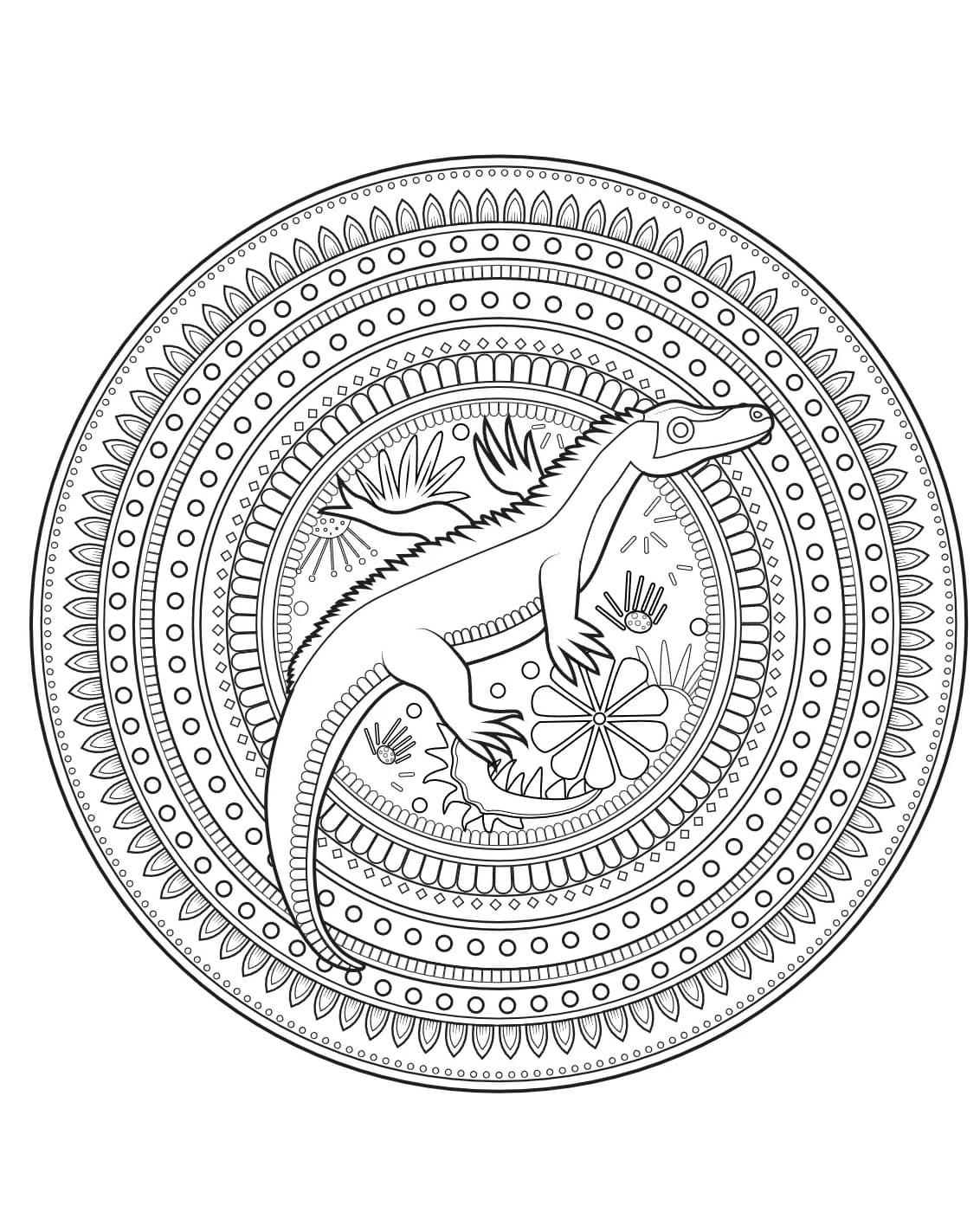 Komodo Di Dalam Mandala