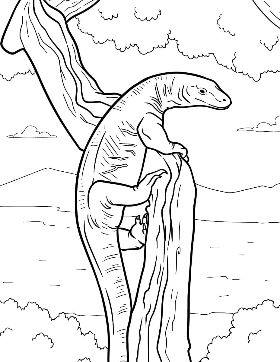 Komodo Memanjat Pohon