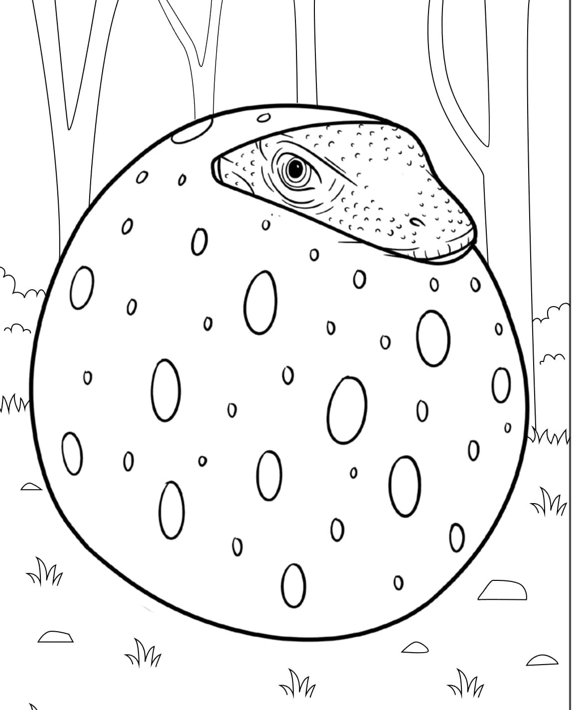 Komodo Menetas Dari Telur