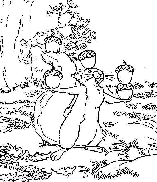 Tupai Bermain Sulap dengan Kacang