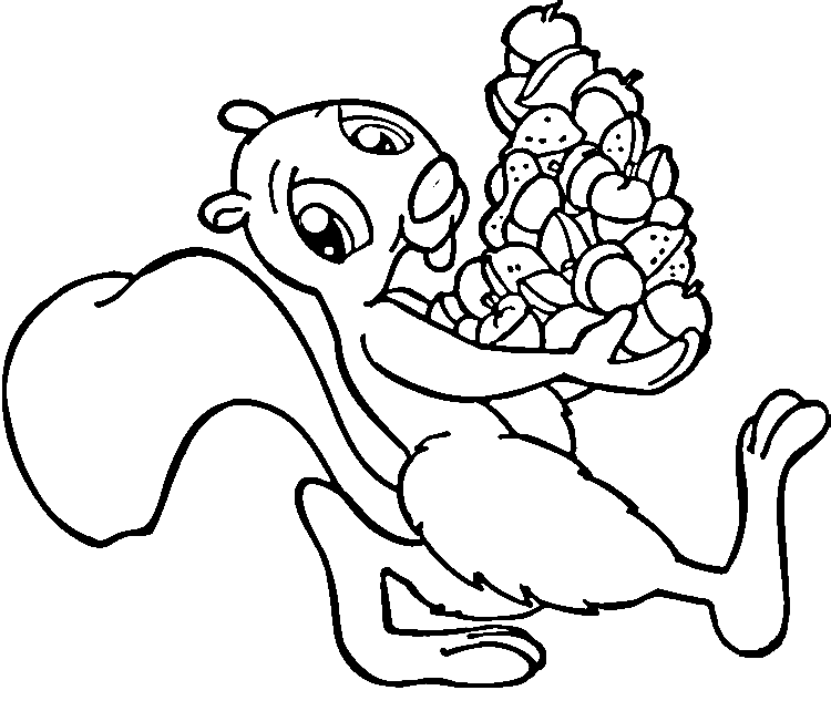 Tupai Lucu dengan biji pohon ek