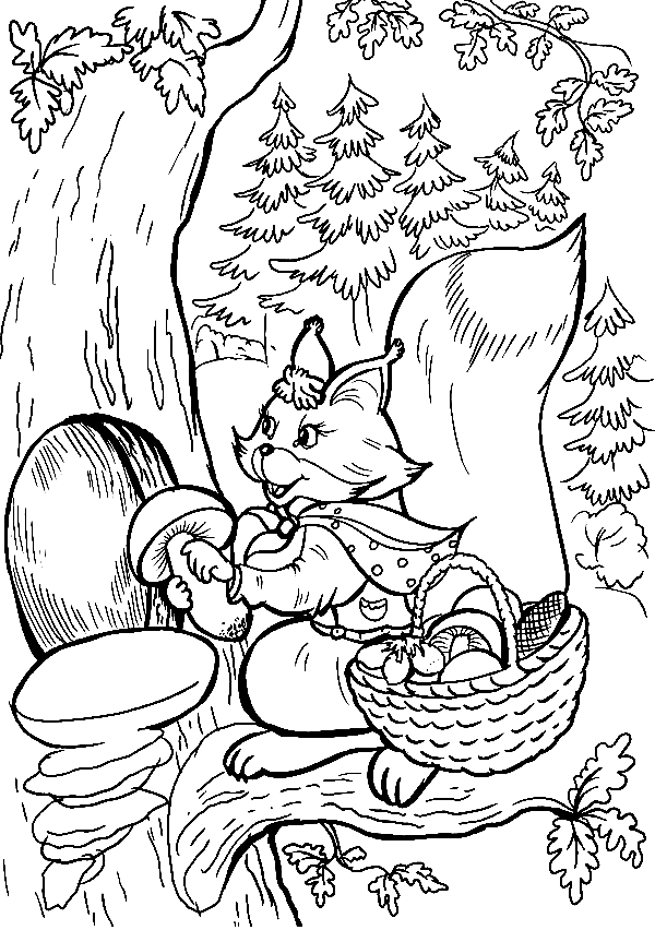 Tupai menaruh jamur di dalam rumah