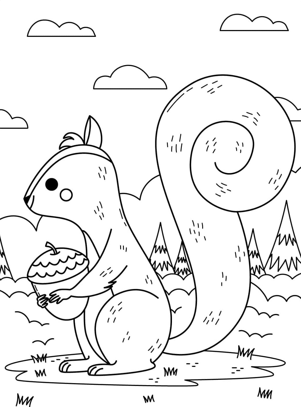 Tupai Mengambil Biji Pohon Ek