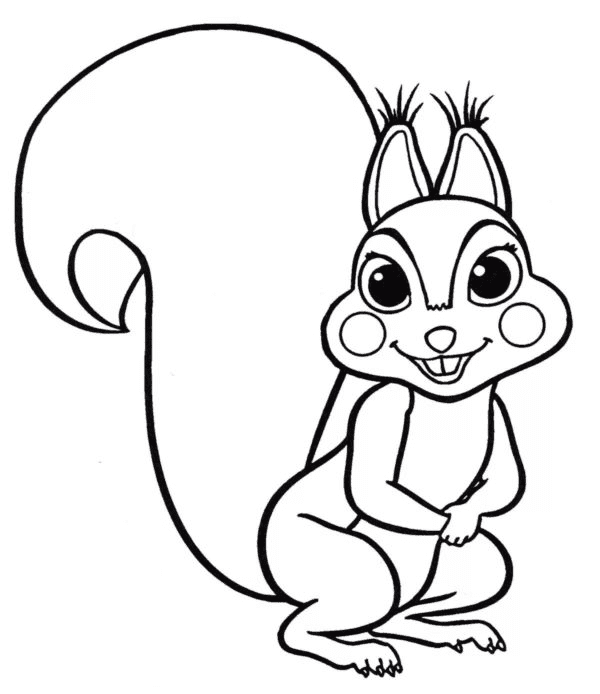 Tupai Tersenyum bebas