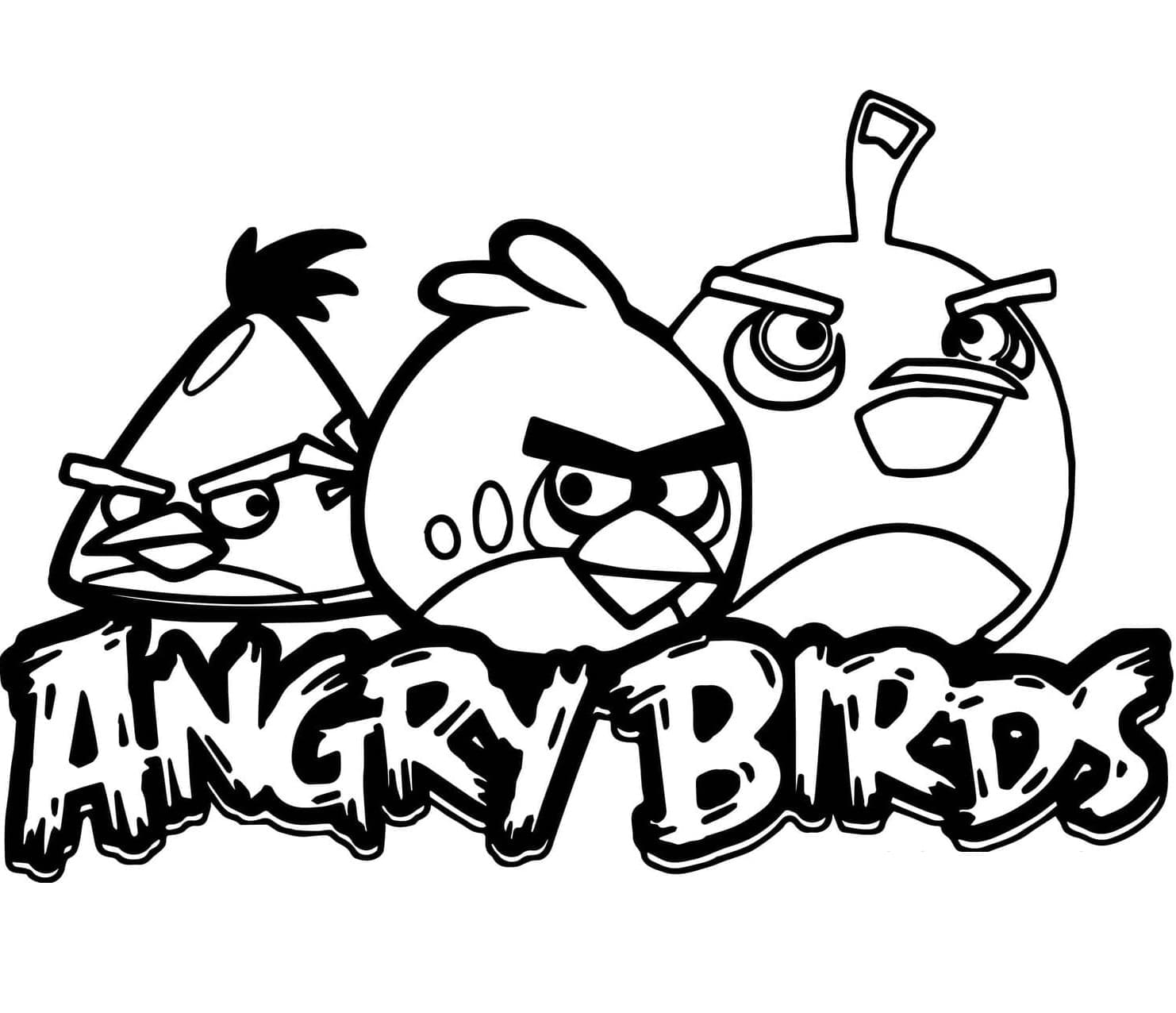 Amazing Angry Birds