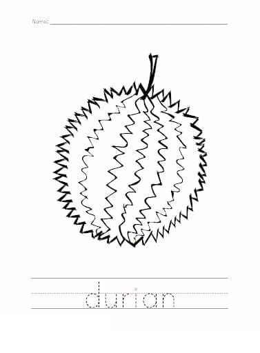 Durian yang Menakjubkan