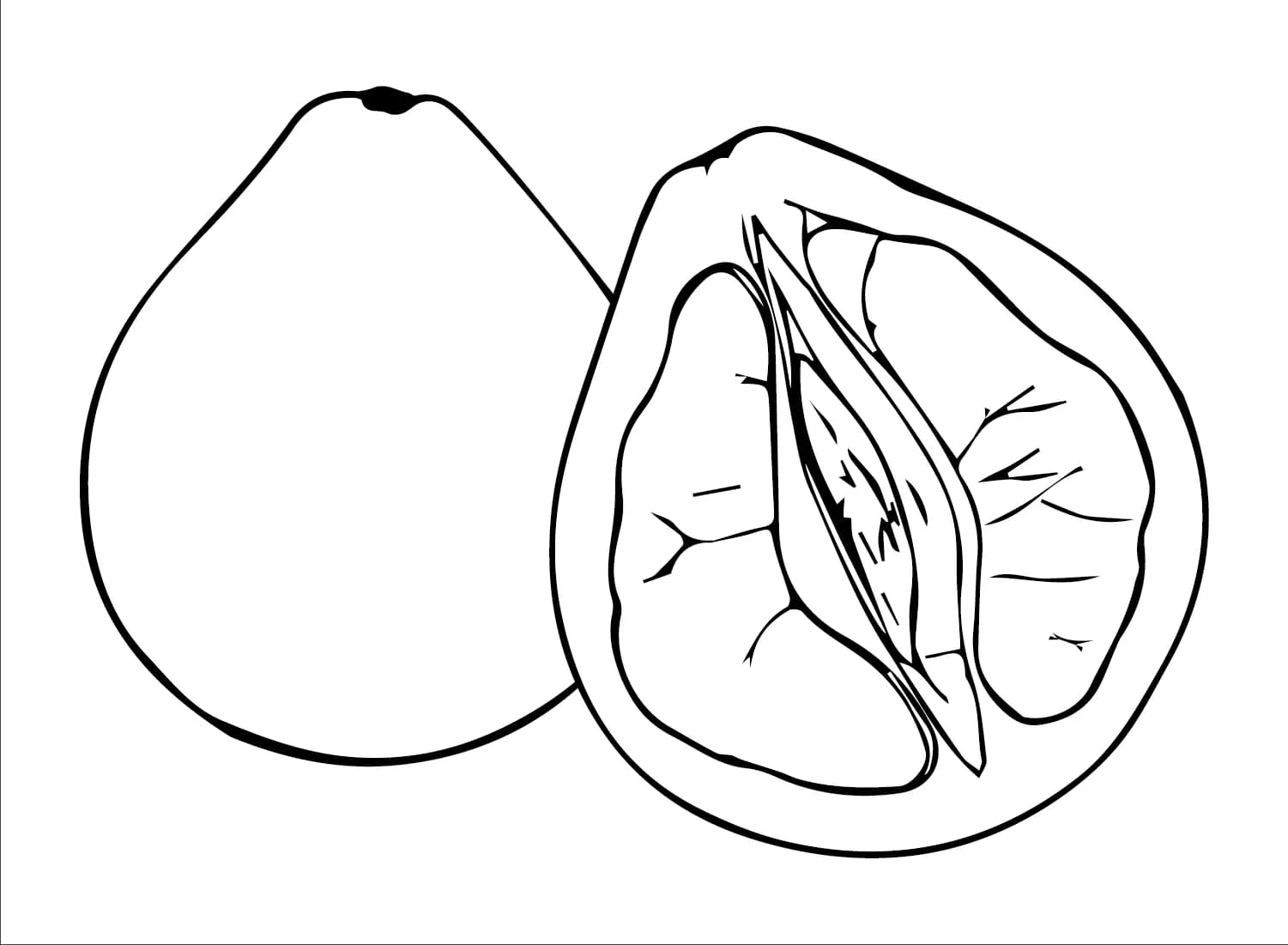 Gambar jeruk bali yang lezat